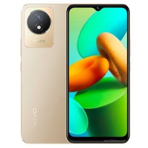 VIVO Y02T